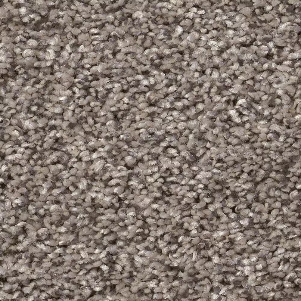 Shaw Yes You Can II Carpet in Warm Light