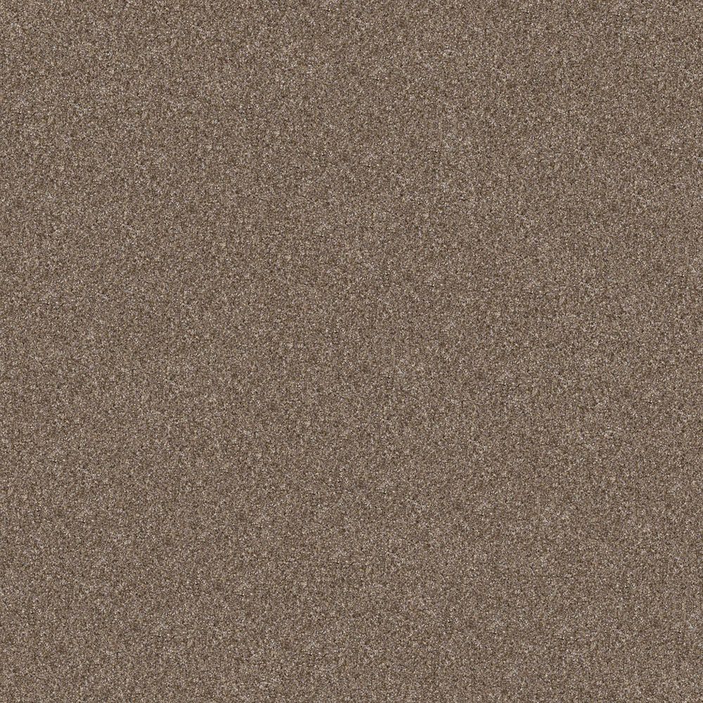 Shaw Yes You Can II Carpet in Honeycomb