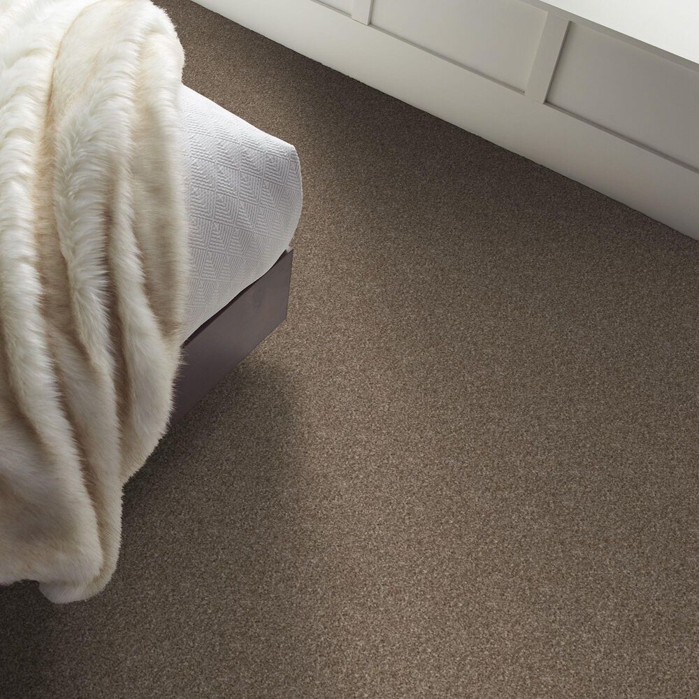 128360-shaw-yes-you-can-ii-carpet-in-honeycomb-1.jpg