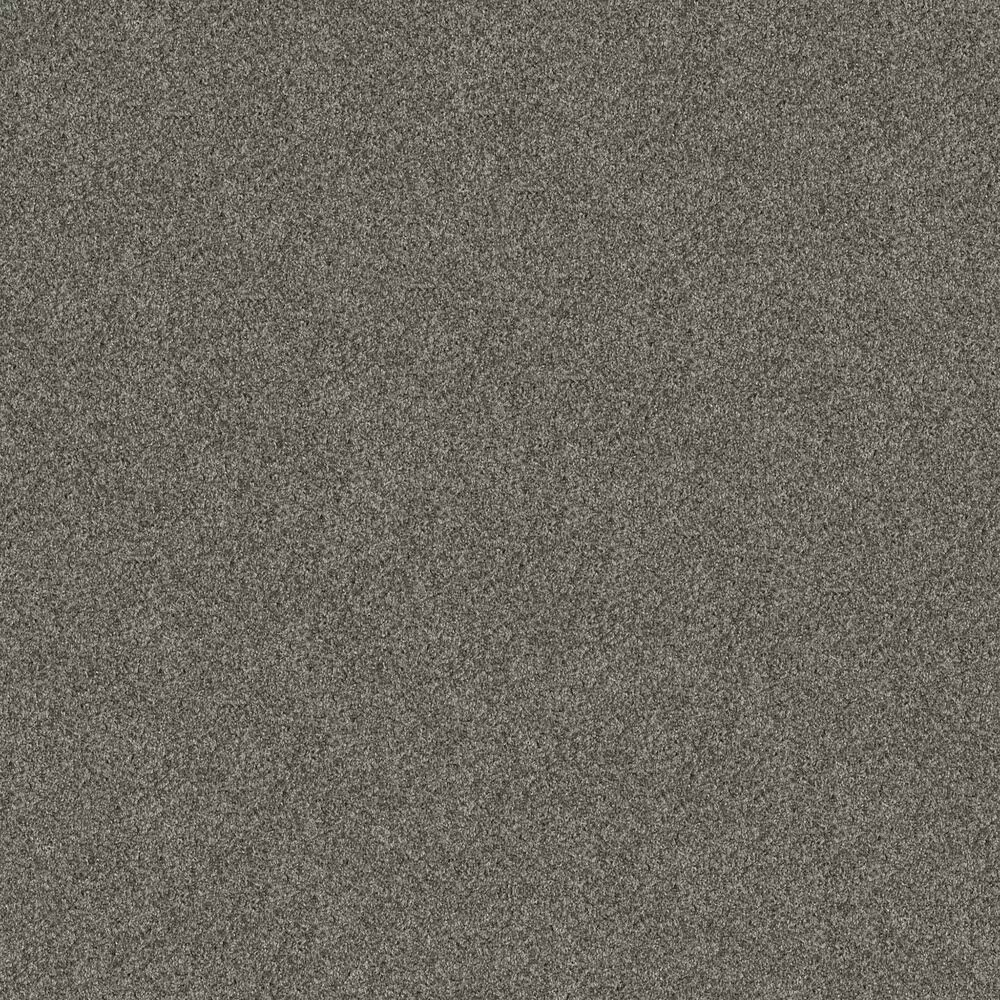 Shaw Yes You Can II Carpet in Rerooted Nature