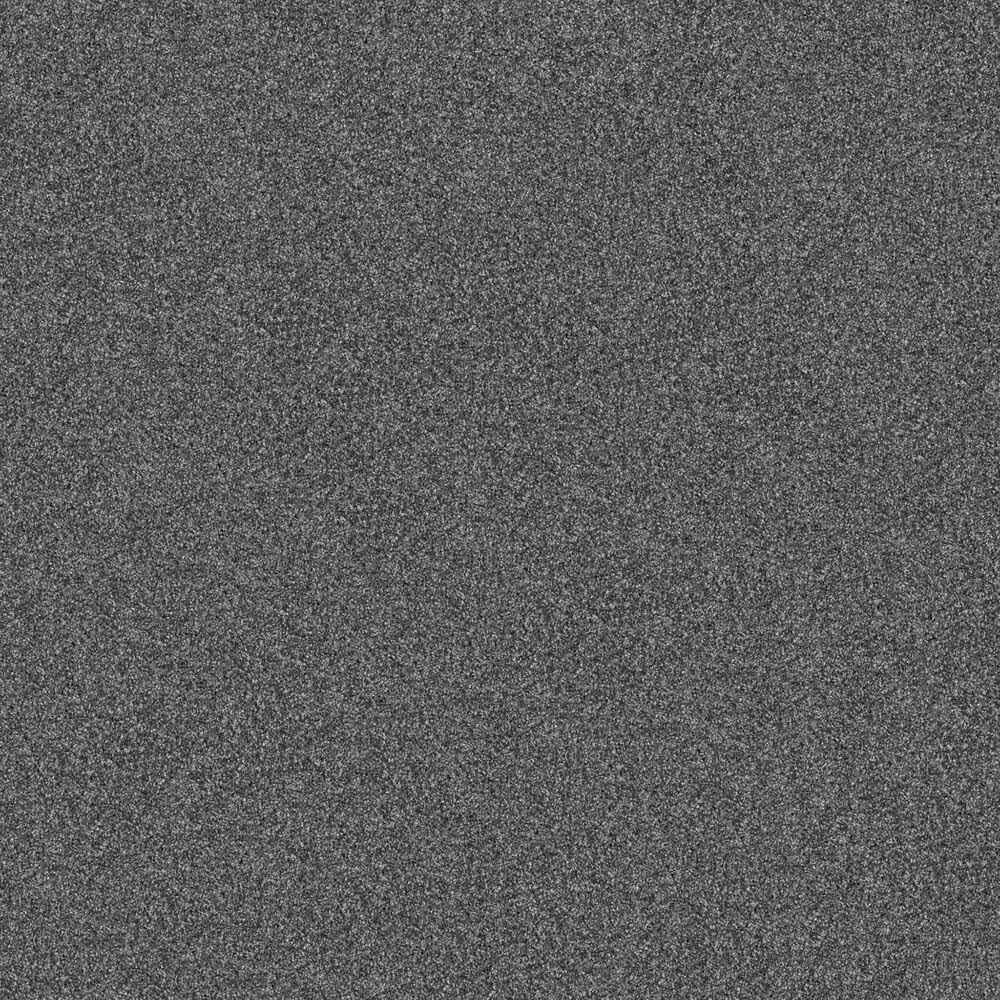 Shaw Yes You Can II Carpet in Refined