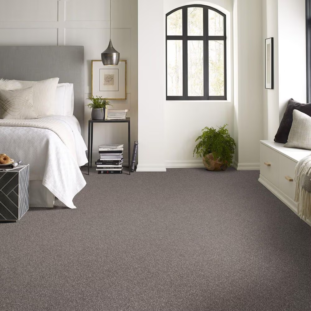 128456-shaw-yes-you-can-ii-carpet-in-alaskan-air-1.jpg