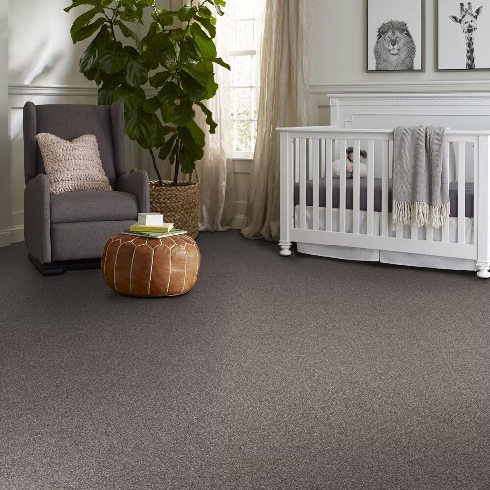 128456-shaw-yes-you-can-ii-carpet-in-alaskan-air-1.jpg