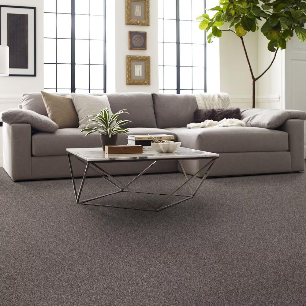 128456-shaw-yes-you-can-ii-carpet-in-alaskan-air-1.jpg