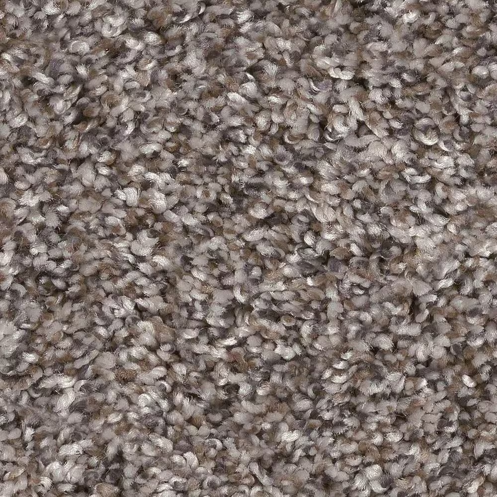 128456-shaw-yes-you-can-ii-carpet-in-alaskan-air-1.jpg