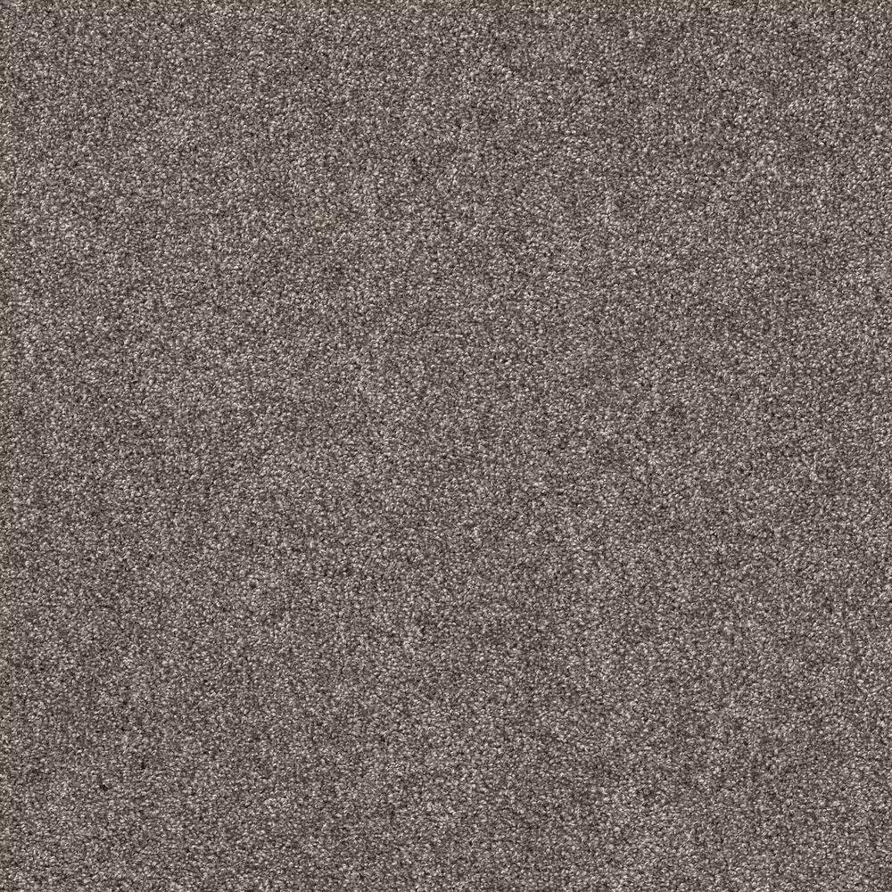 Shaw Yes You Can II Carpet in Ashes
