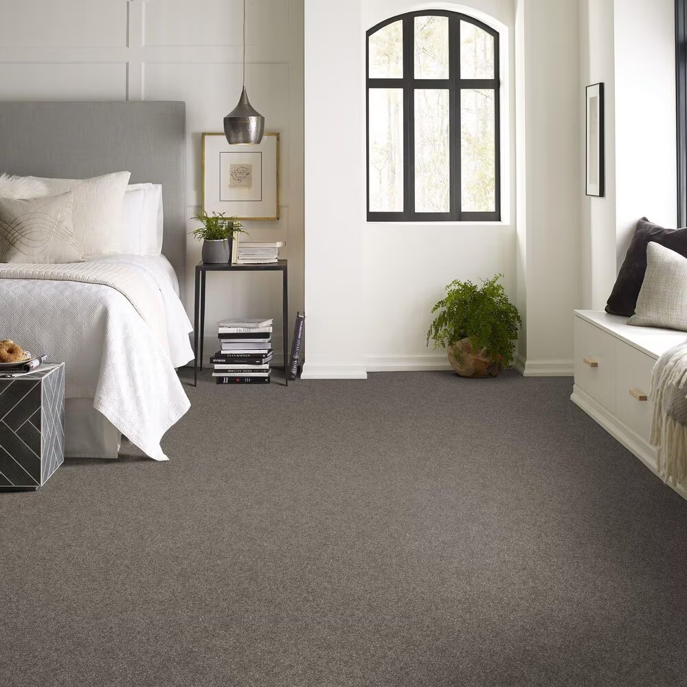 128480-shaw-yes-you-can-ii-carpet-in-ashes-1.jpg