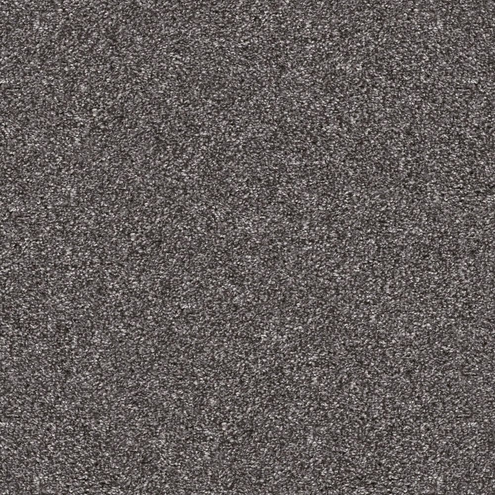Shaw Yes You Can II Carpet in Shadow