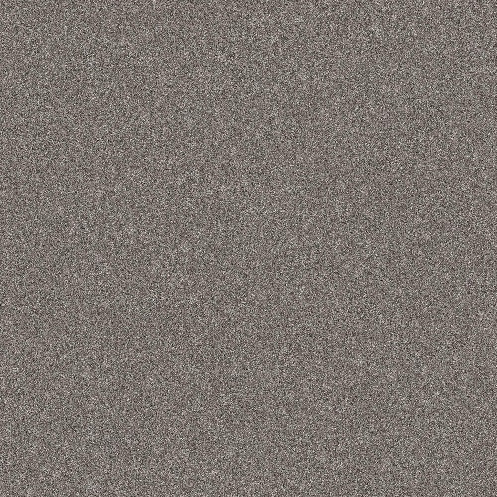 Shaw Yes You Can II Carpet in Vintage
