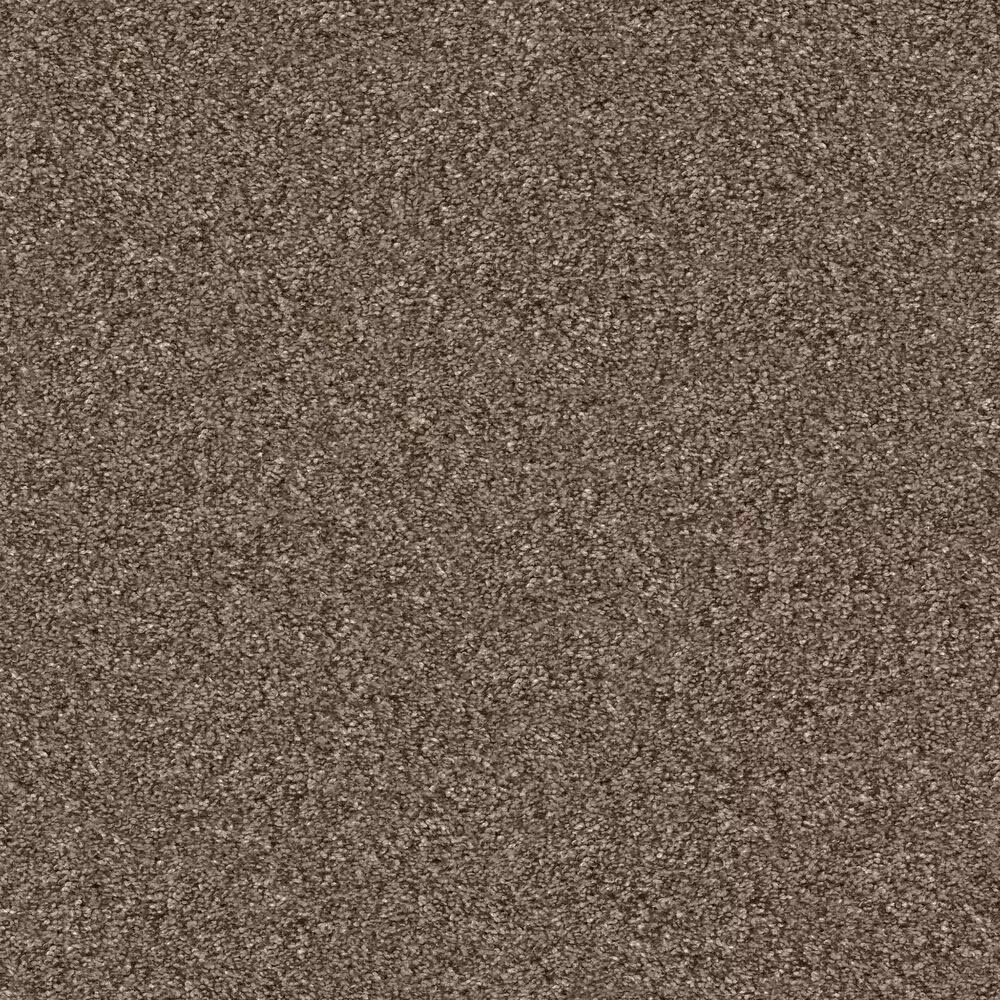 Shaw Yes You Can II Carpet in Worn Path