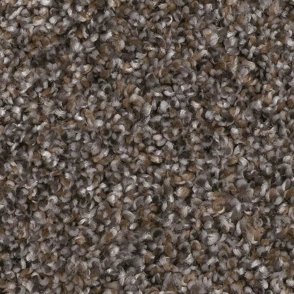 Shaw Yes You Can II Carpet in Cafe Noir