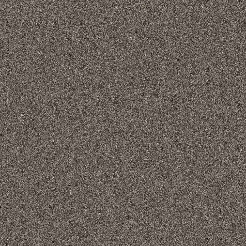 Shaw Yes You Can II Carpet in Urban Rustic