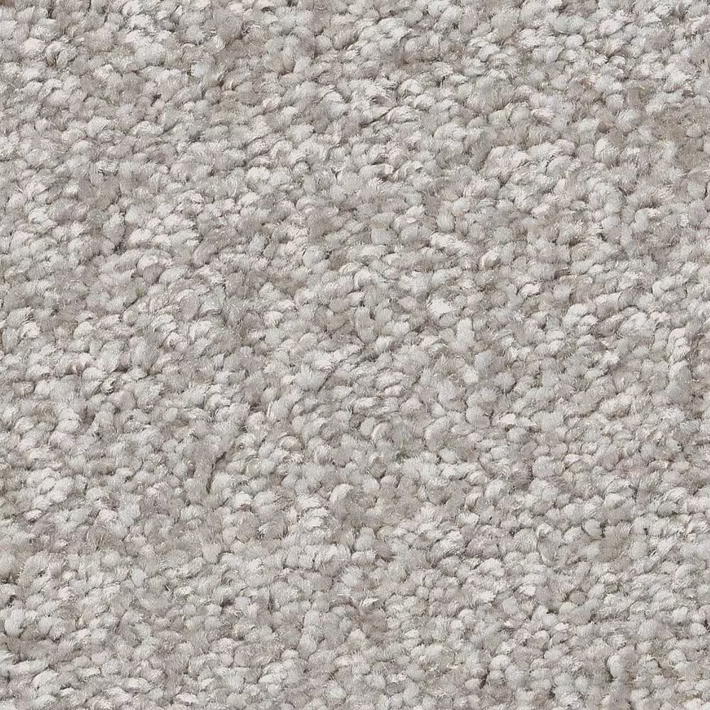 Shaw You Got This I Carpet in Frozen