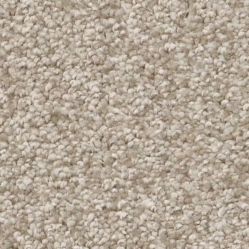 Shaw You Got This I Carpet in Natural