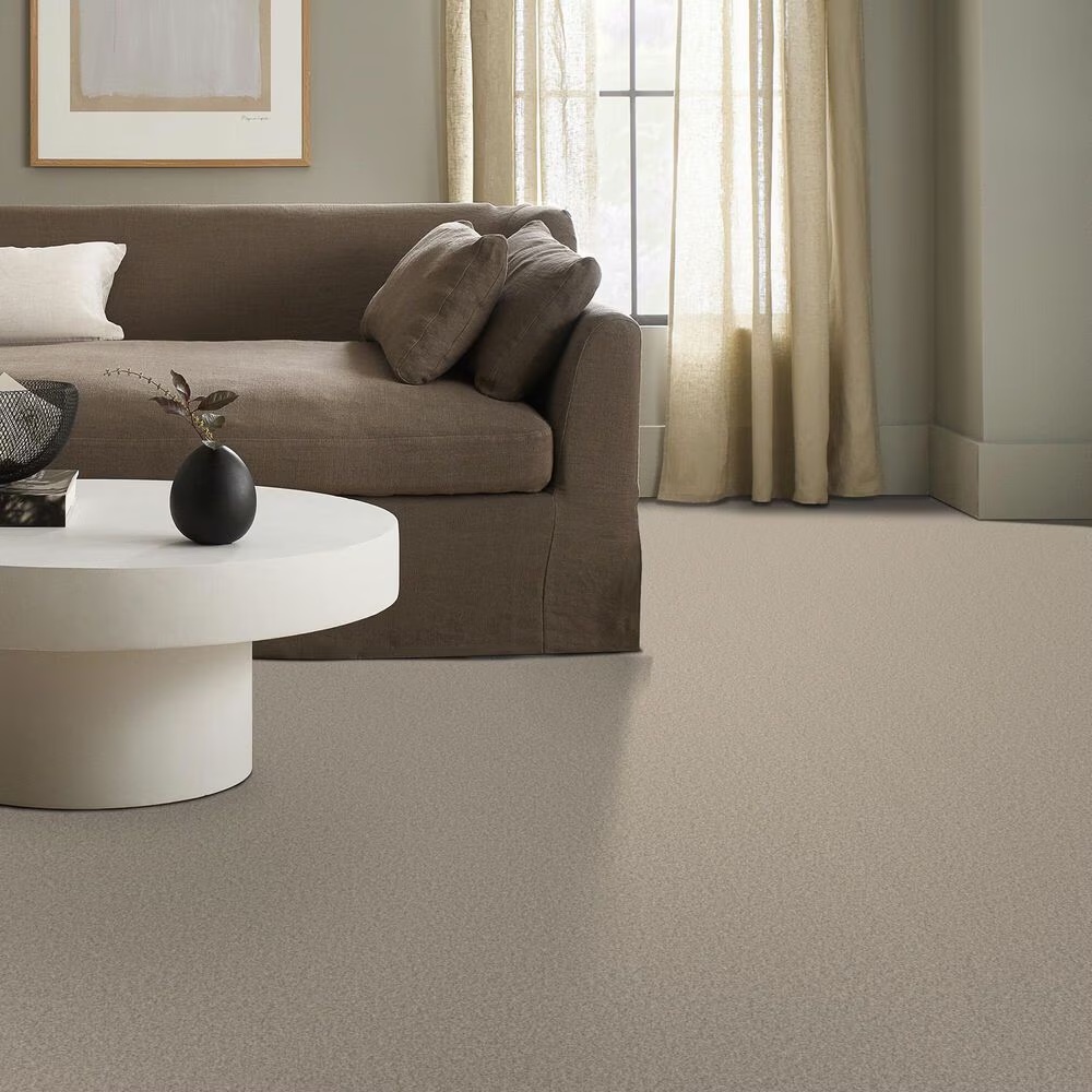 128697-shaw-you-got-this-i-carpet-in-natural-1.jpg