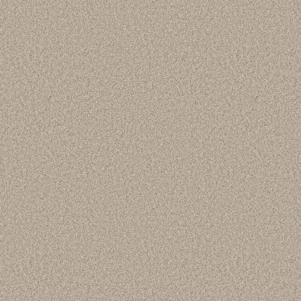 128697-shaw-you-got-this-i-carpet-in-natural-1.jpg