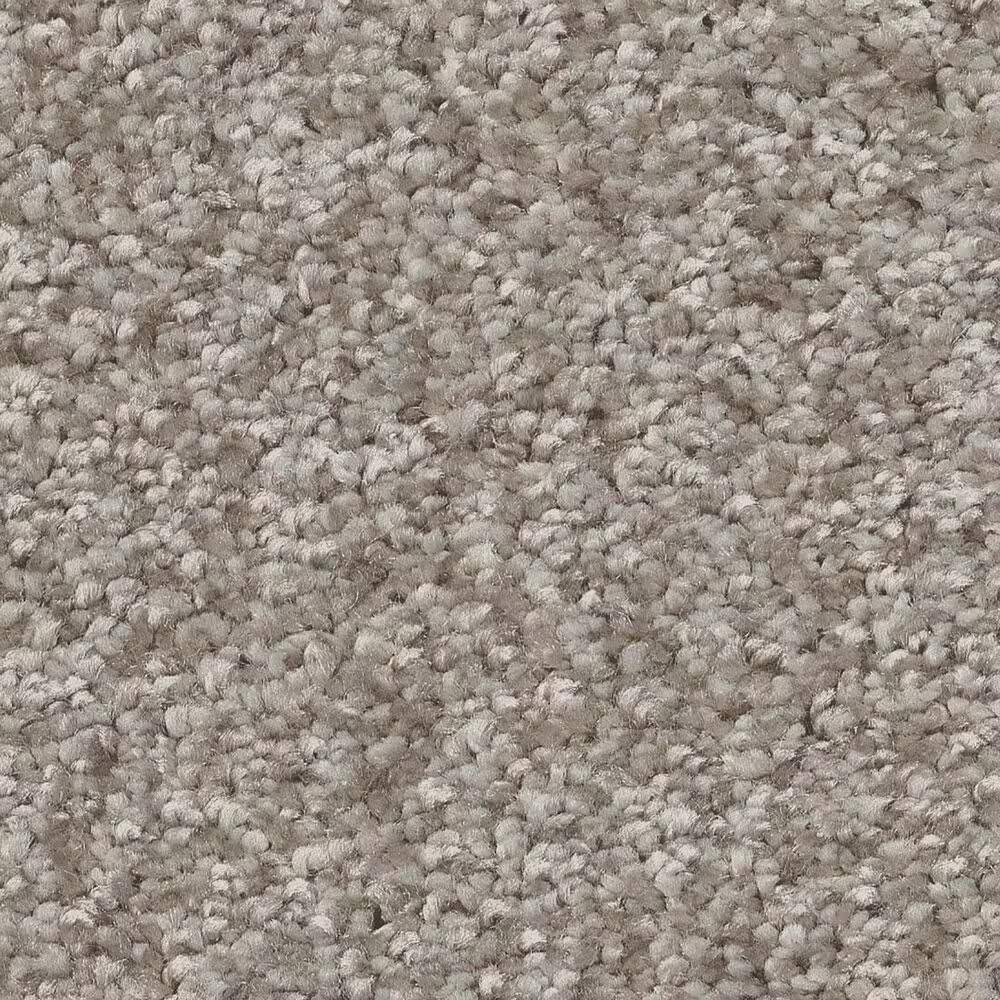 Shaw You Got This I Carpet in Chic Greige