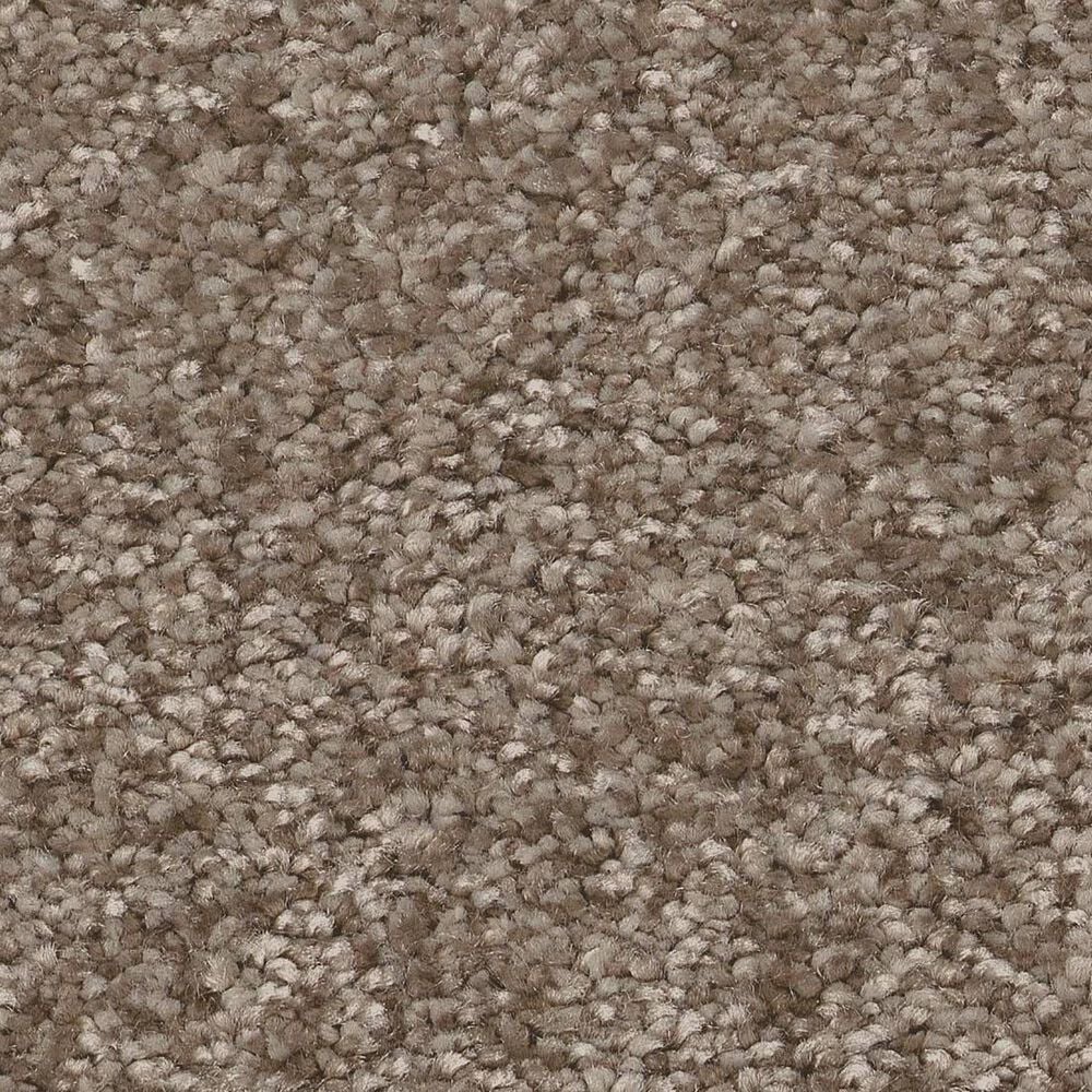 Shaw You Got This I Carpet in Cameo