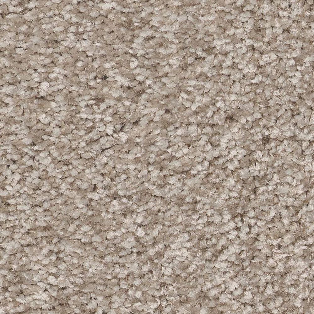 Shaw You Got This I Carpet in Subtle Clay