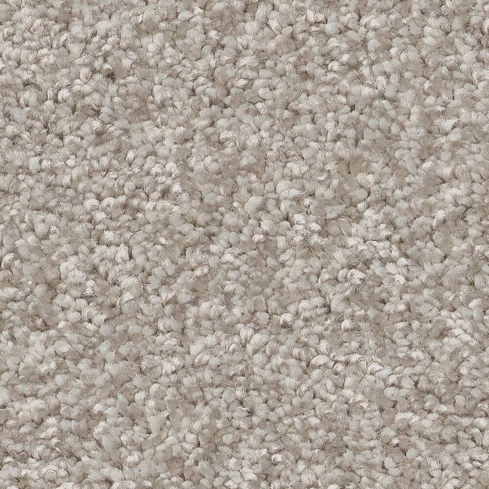 Shaw You Got This I Carpet in Sculpture