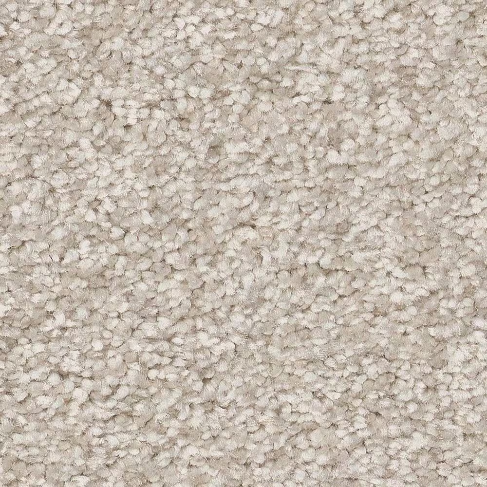 Shaw You Got This I Carpet in Warm Light