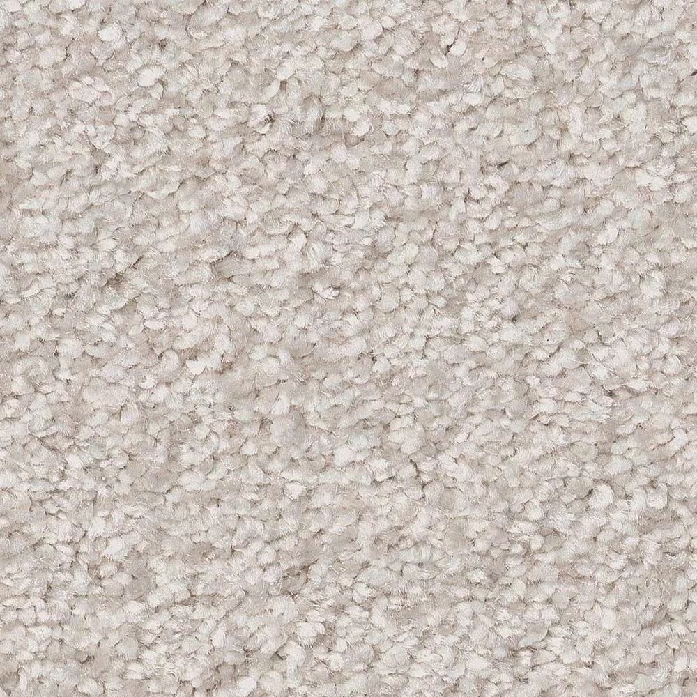 Shaw You Got This I Carpet in Snowfall