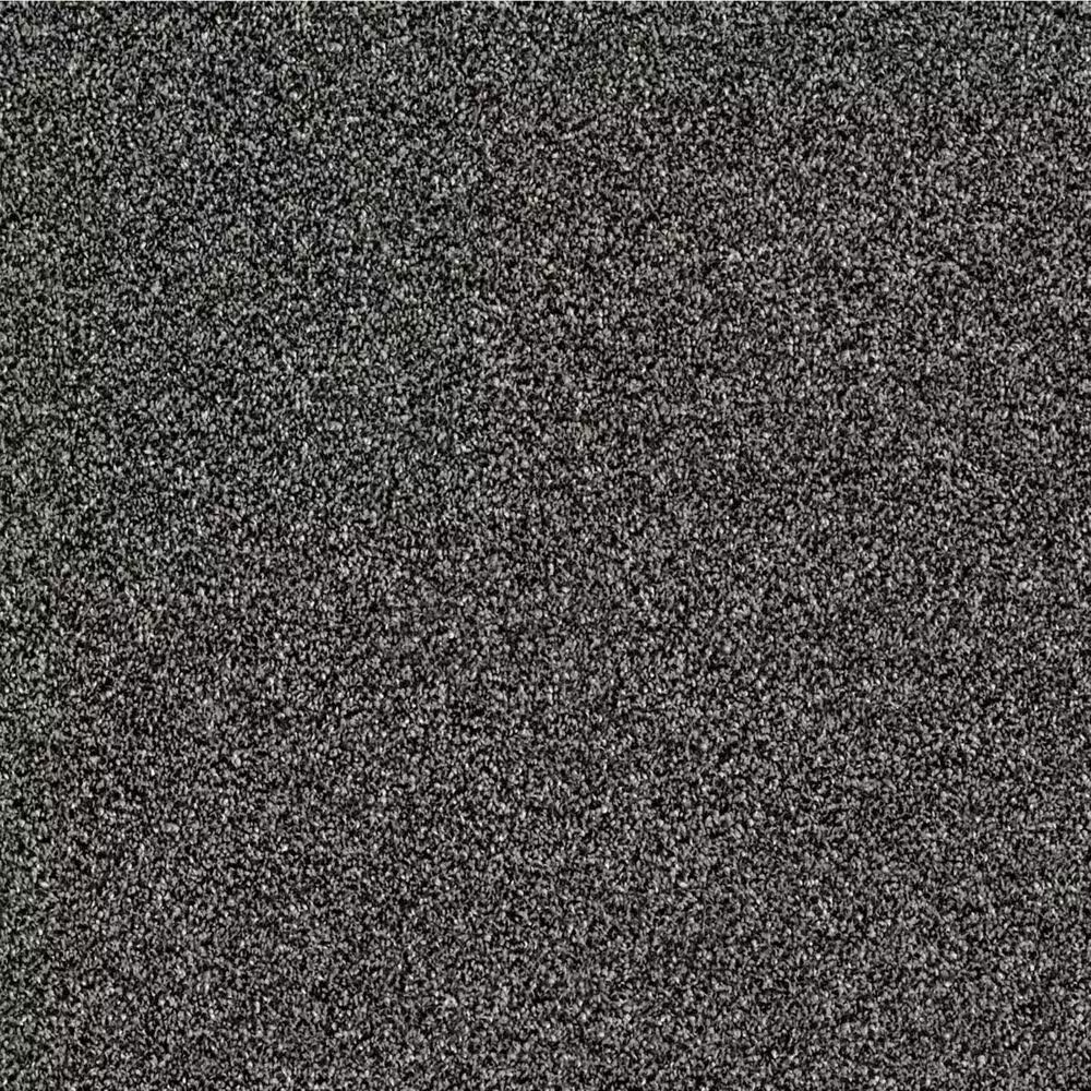 Shaw Making The Rules III 15' Carpet in Soot