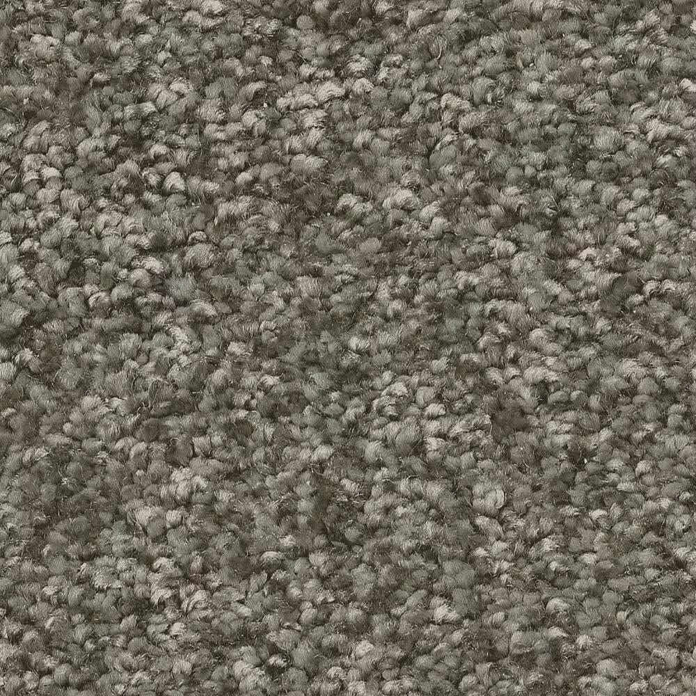 Shaw You Got This I Carpet in Rerooted Nature