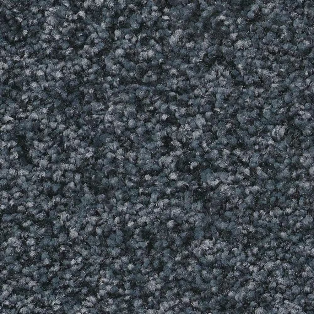 Shaw You Got This I Carpet in Refined