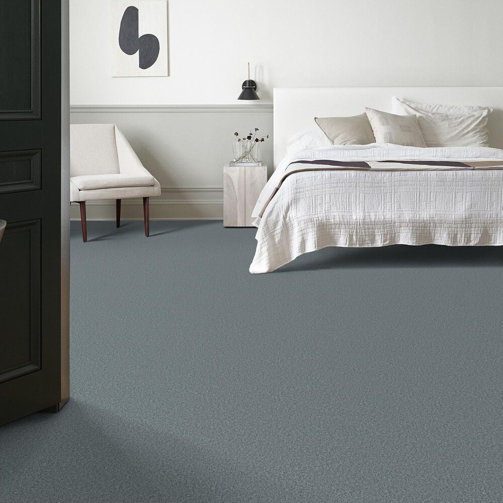 128972-shaw-you-got-this-i-carpet-in-sea-ice-1.jpg
