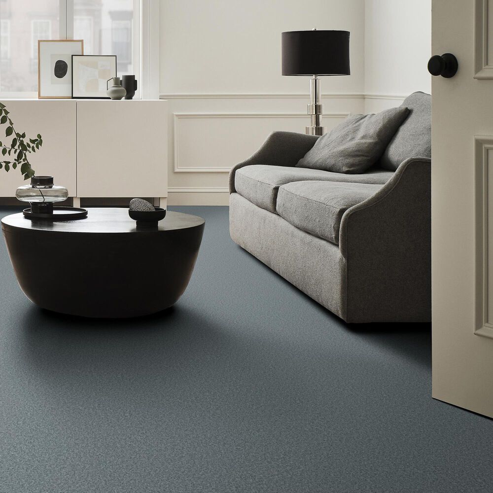 128972-shaw-you-got-this-i-carpet-in-sea-ice-1.jpg