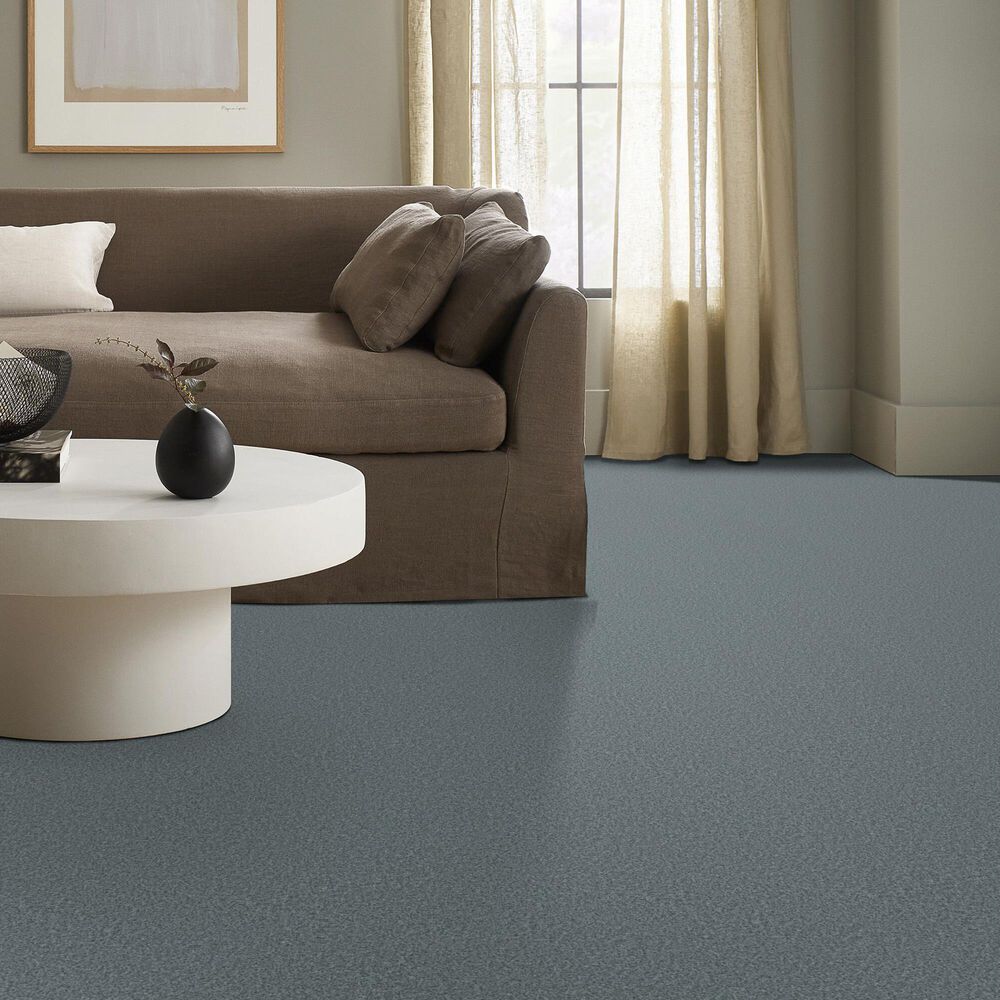 128972-shaw-you-got-this-i-carpet-in-sea-ice-1.jpg