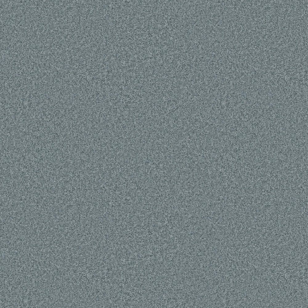 128972-shaw-you-got-this-i-carpet-in-sea-ice-1.jpg