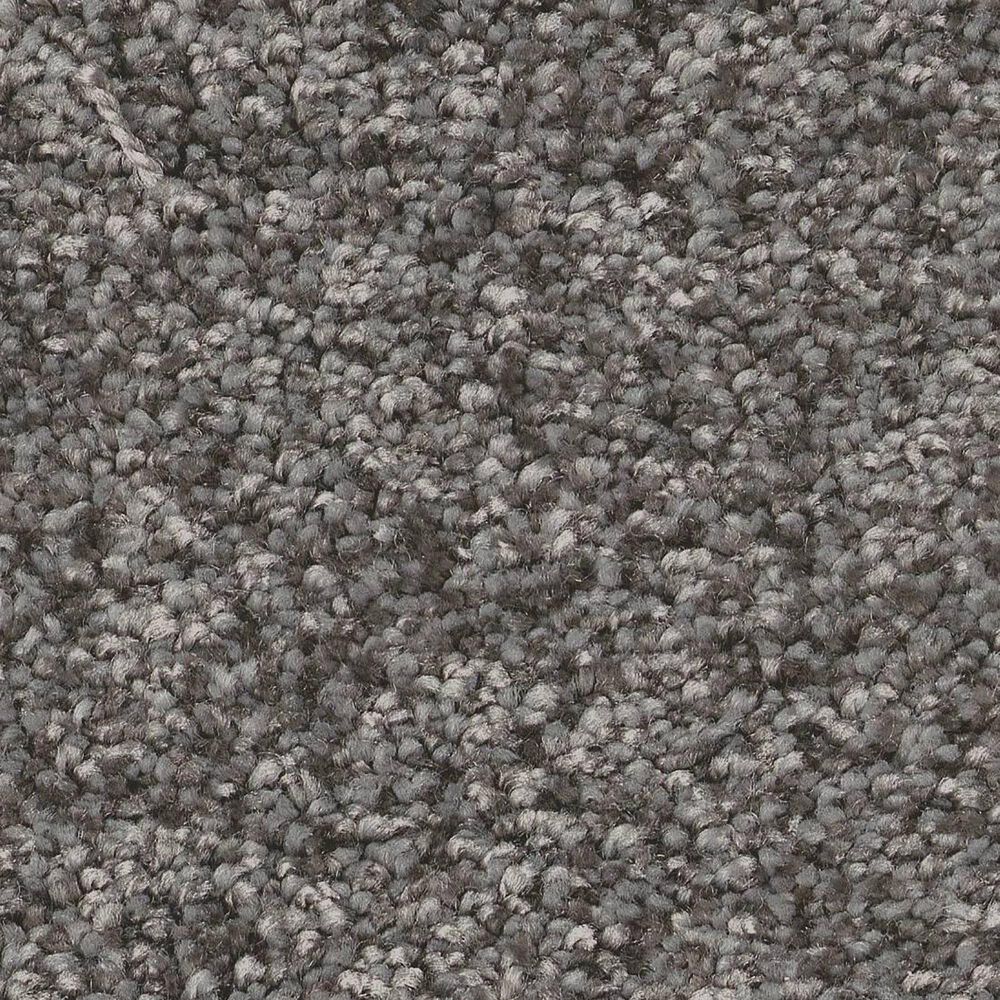 Shaw You Got This I Carpet in Ashes