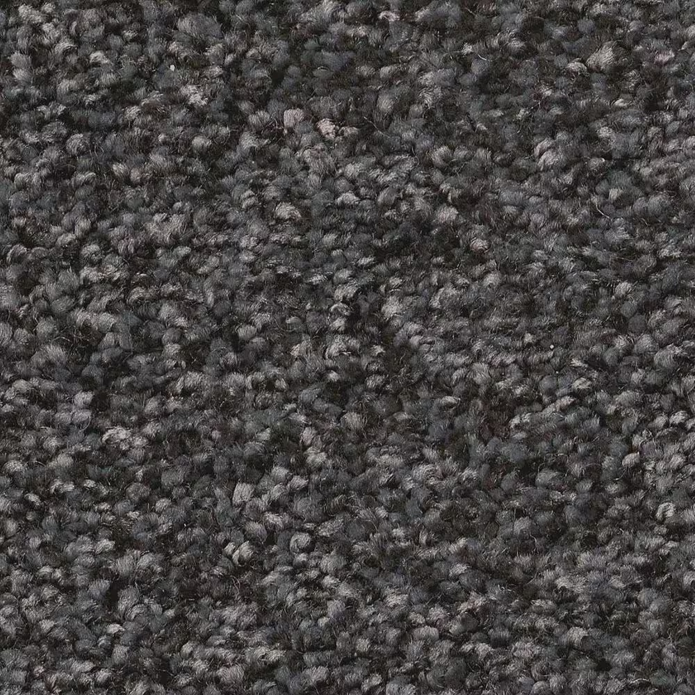 Shaw You Got This I Carpet in Shadow