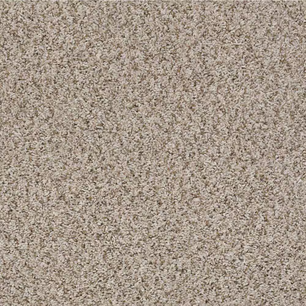 Shaw See Me Carpet in Cool Breeze