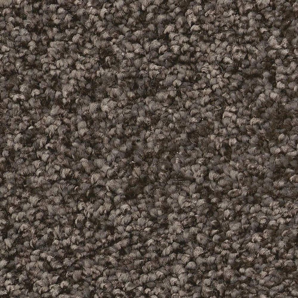 Shaw You Got This I Carpet in Urban Rustic