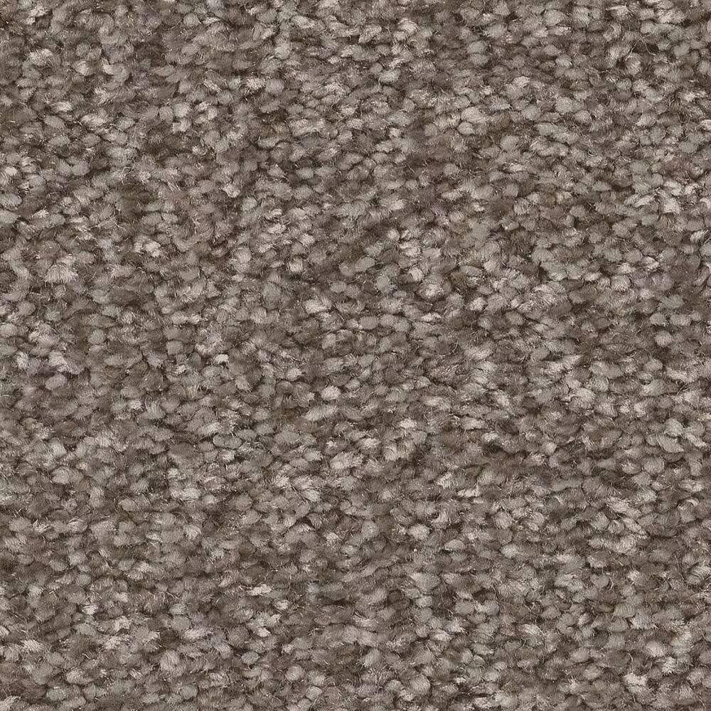 Shaw You Got This I Carpet in Cobblestone