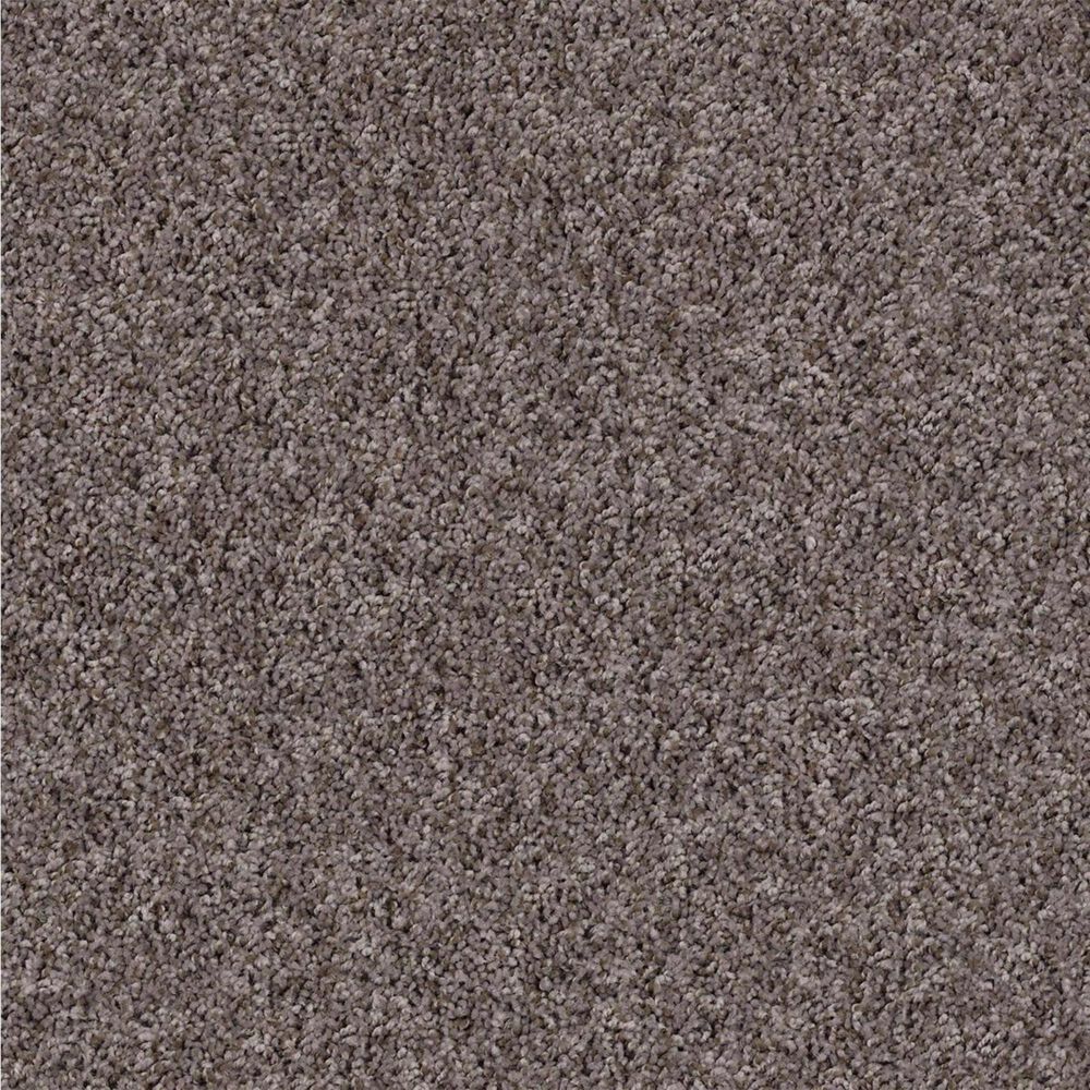 Shaw See Me Carpet in Driftwood