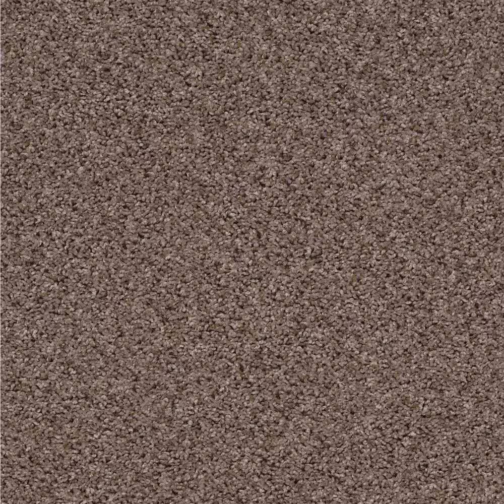 Shaw See Me Carpet in Acorn