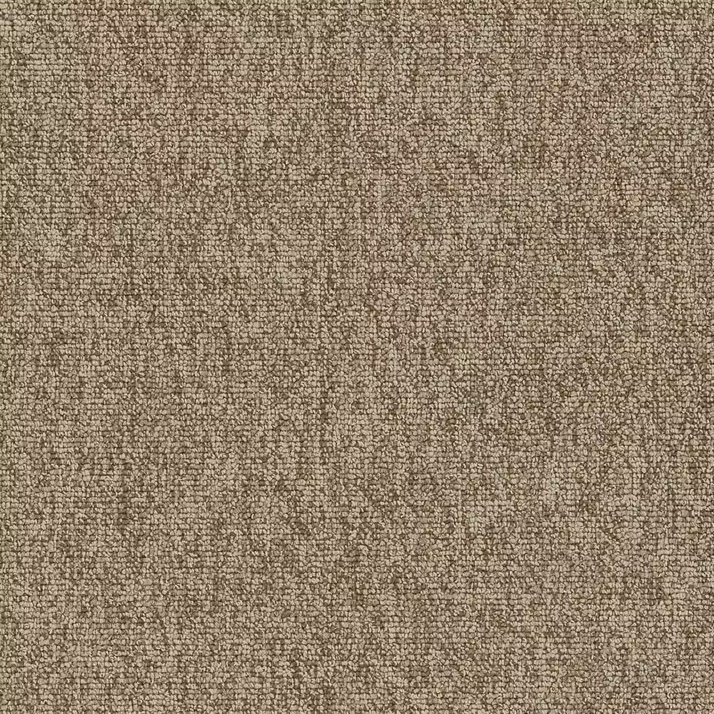 Shaw Multiplicity 18" x 36" Carpet Tile in Plethora