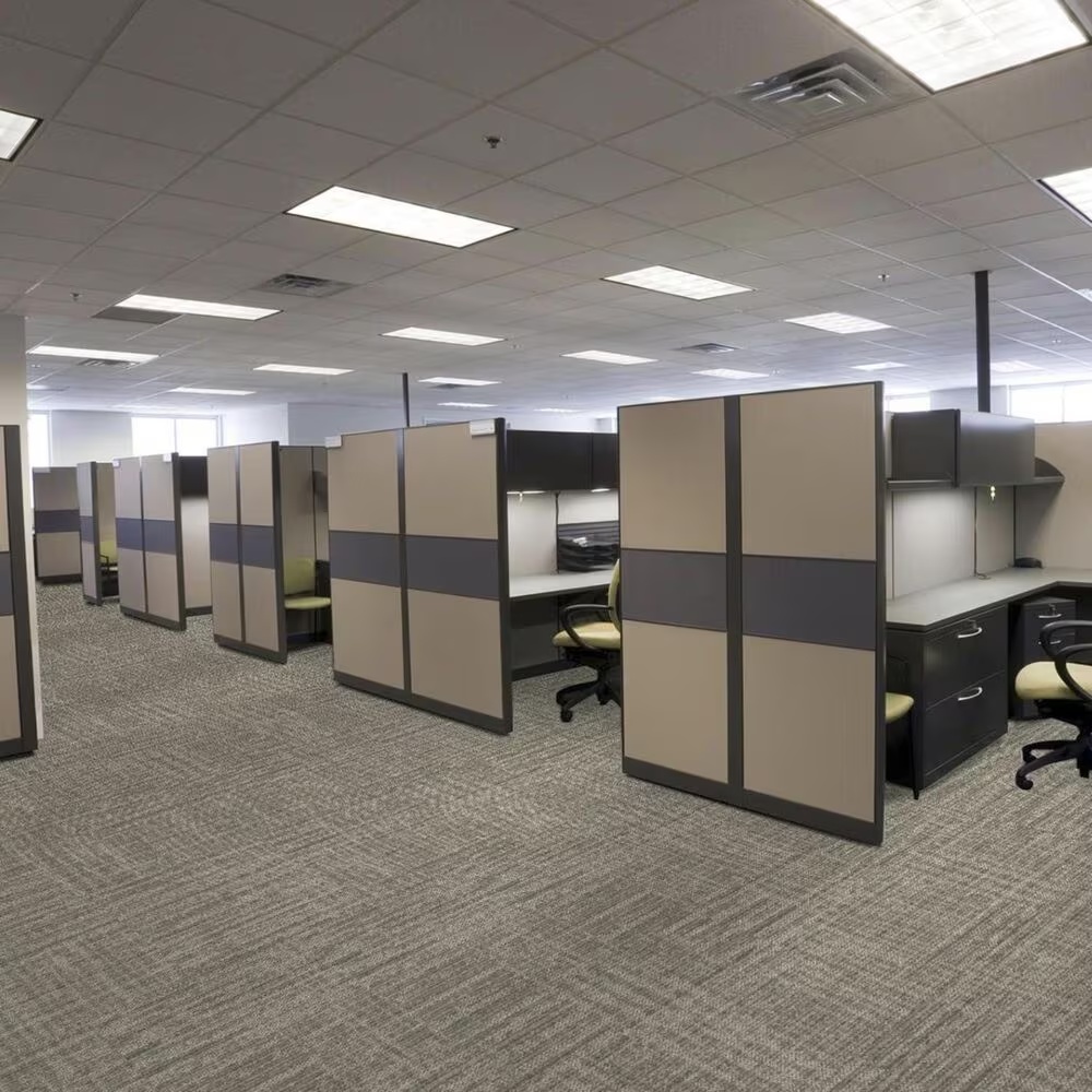 13150-shaw-raw-beauty-18-x-36-carpet-tile-in-savvy-1.jpg