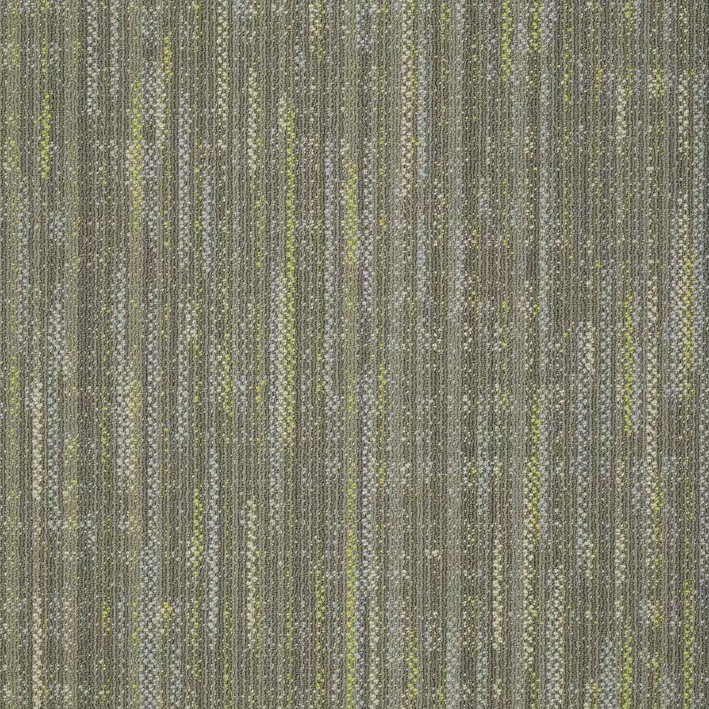 Shaw Enlighten 24" x 24" Carpet Tile in Embrace Spirit