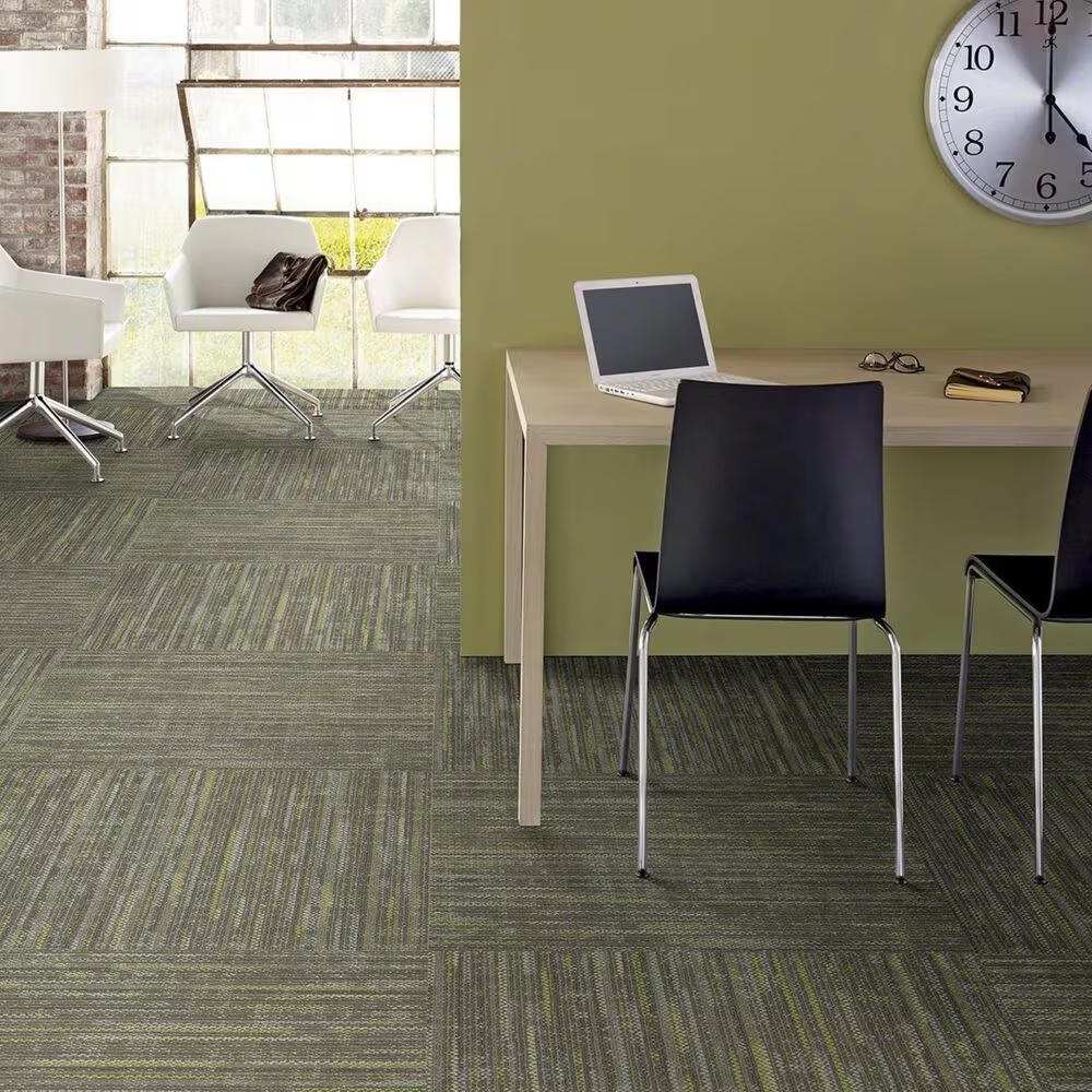13195-shaw-enlighten-24-x-24-carpet-tile-in-embrace-spirit-1.jpg