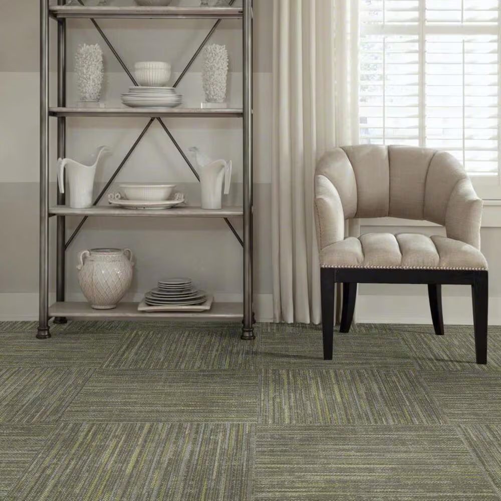 13195-shaw-enlighten-24-x-24-carpet-tile-in-embrace-spirit-1.jpg