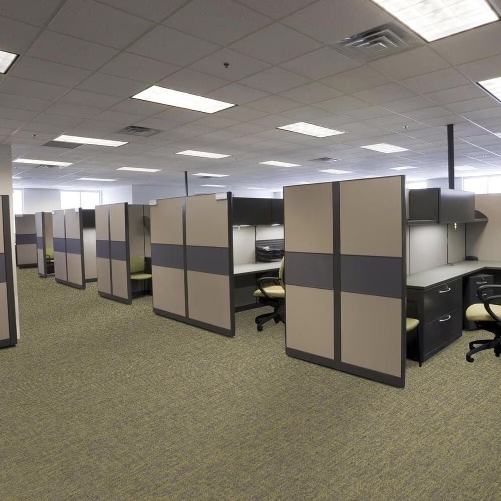 13214-shaw-crazy-smart-18-x-36-carpet-tile-in-radiant-1.jpg