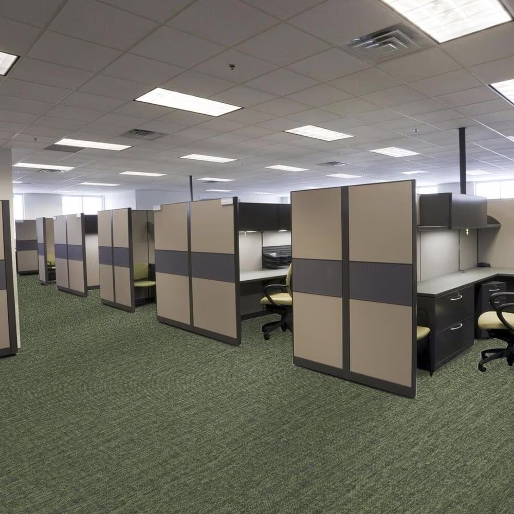 13231-shaw-crazy-smart-18-x-36-carpet-tile-in-witty-1.jpg