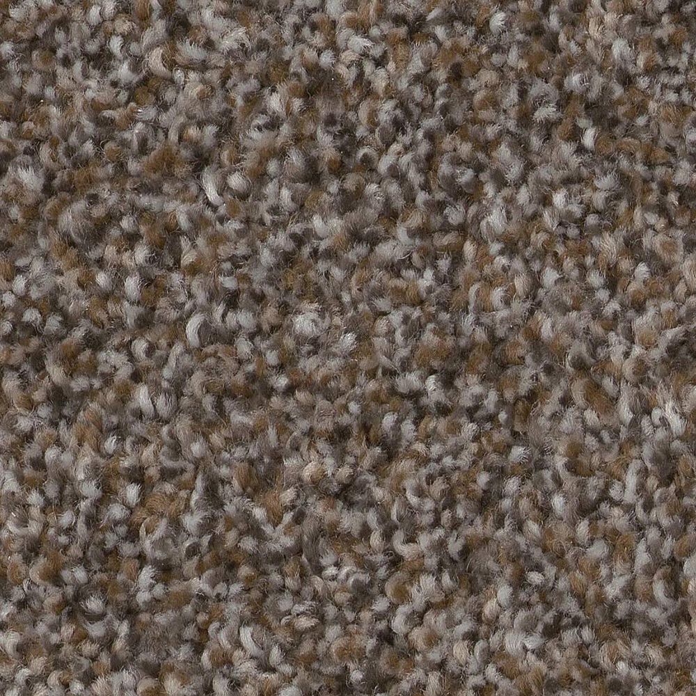 Shaw Truspirit II Carpet in City Scape