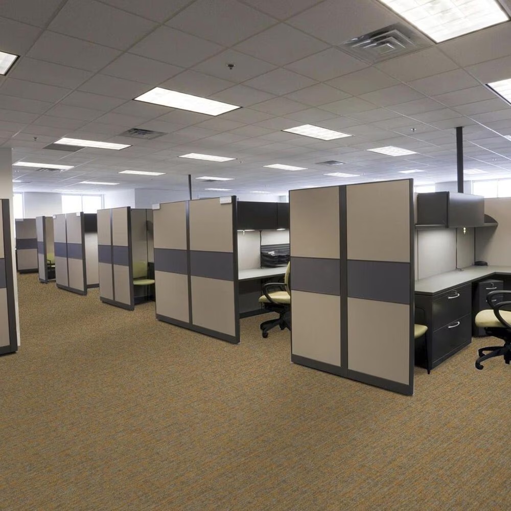 Shaw Crazy Smart 18" x 36" Carpet Tile in Magnetic