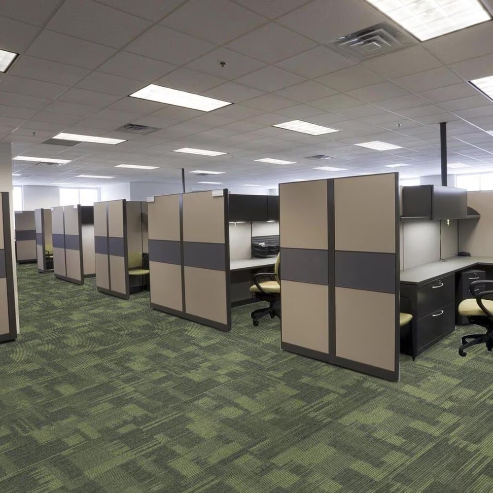 13451-shaw-pure-attitude-18-x-36-carpet-tile-in-witty-1.jpg